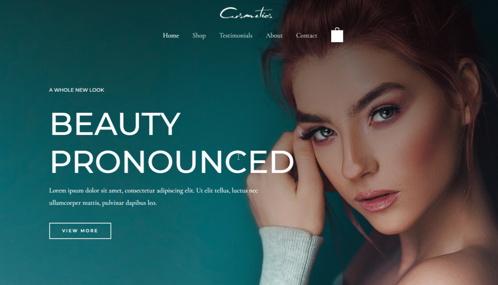 website designer in lagos nigeria